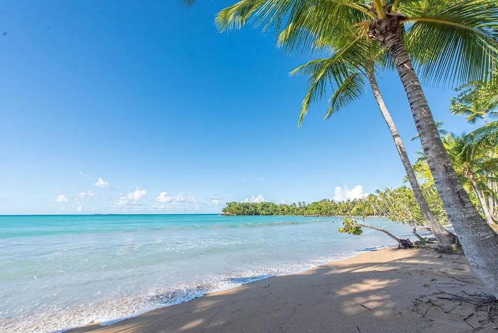 Spectacular 3 Bedrooms Beach Front At Playa Bonita Aquamarine Building #104 ラス・テレナス 0*,  ドミニカ共和国